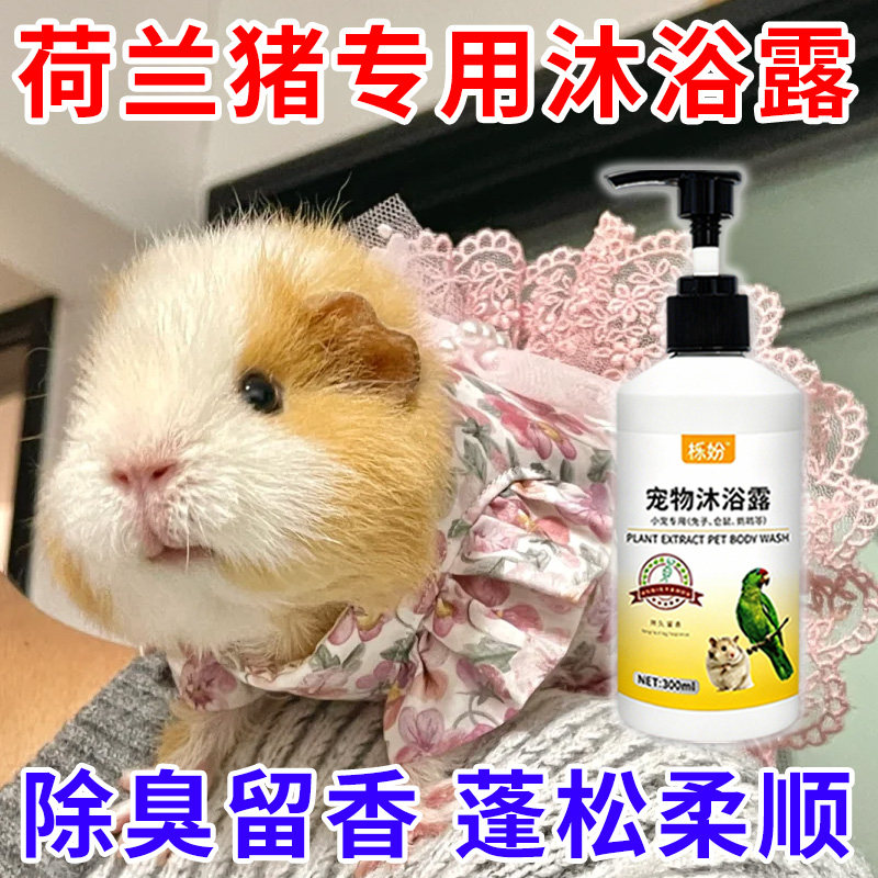 荷兰猪沐浴露除臭专用豚鼠荷兰猪沐浴露抗菌除臭除螨豚鼠洗澡用品