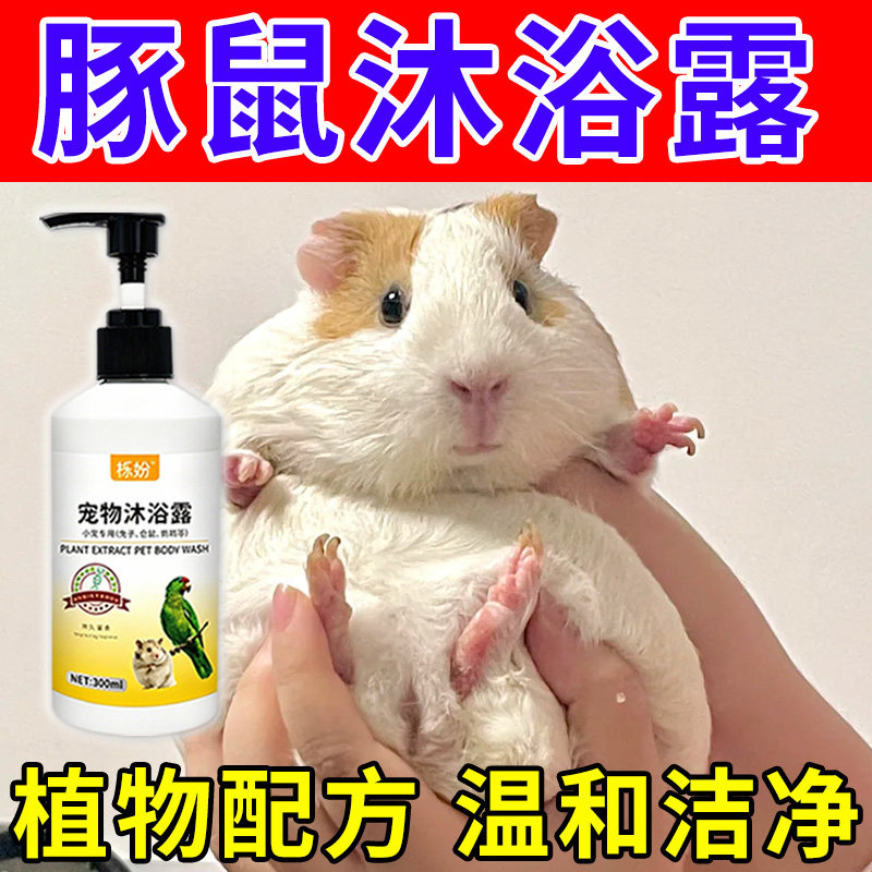 荷兰猪沐浴露除臭专用豚鼠荷兰猪沐浴露抗菌除臭除螨豚鼠洗澡用品