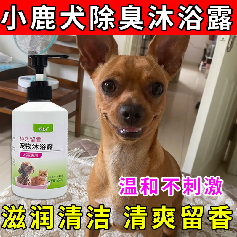 小鹿犬专用沐浴露亮白去黄狗狗白毛犬沐浴液宠物狗清洁用品香波