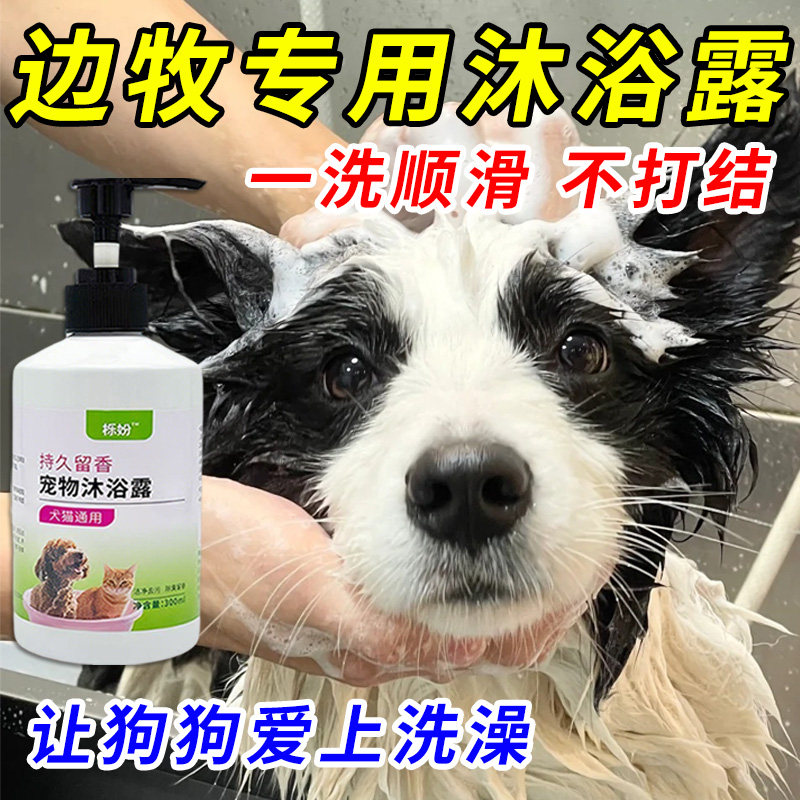 边牧专用沐浴露亮白去黄狗狗白毛犬沐浴液宠物狗清洁用品香波