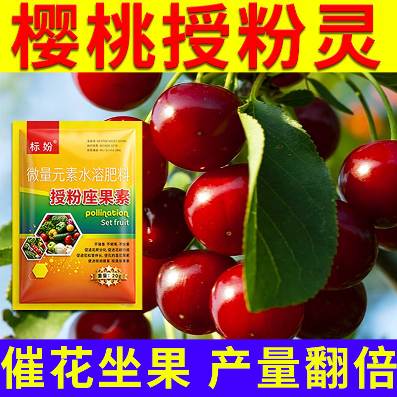 樱桃授粉座果精无需粘花催花坐果灵茄瓜授粉露保花保果专用剂