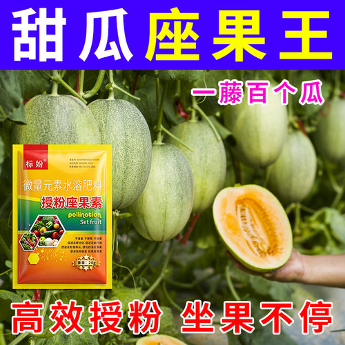 甜瓜授粉座果精无需粘花催花坐果灵茄瓜授粉露保花保果专用剂