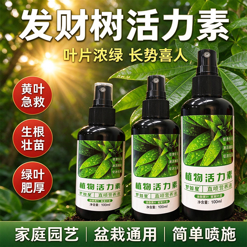 植物活力素直喷营养液发财树盆栽养护改善黄叶掉叶促枝叶生长