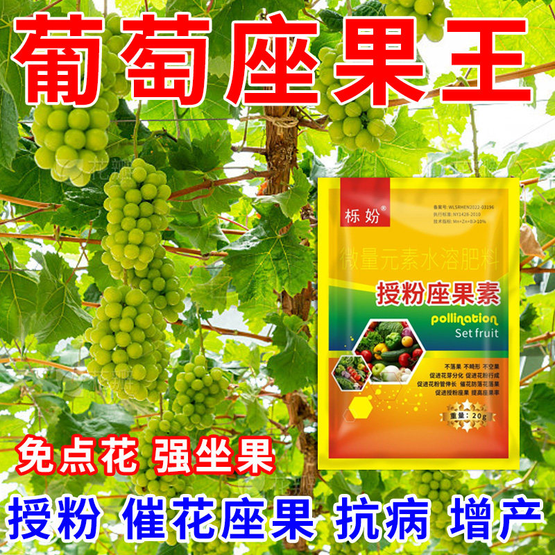 葡萄授粉座果精无需粘花催花坐果灵茄瓜授粉露保花保果专用剂