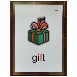 丽声瑞格叔叔少儿英语自然拼读法12345级单词卡片闪卡过塑封教具