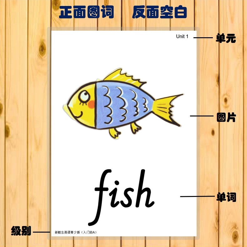 官图新概念英语青少版塑封单词卡