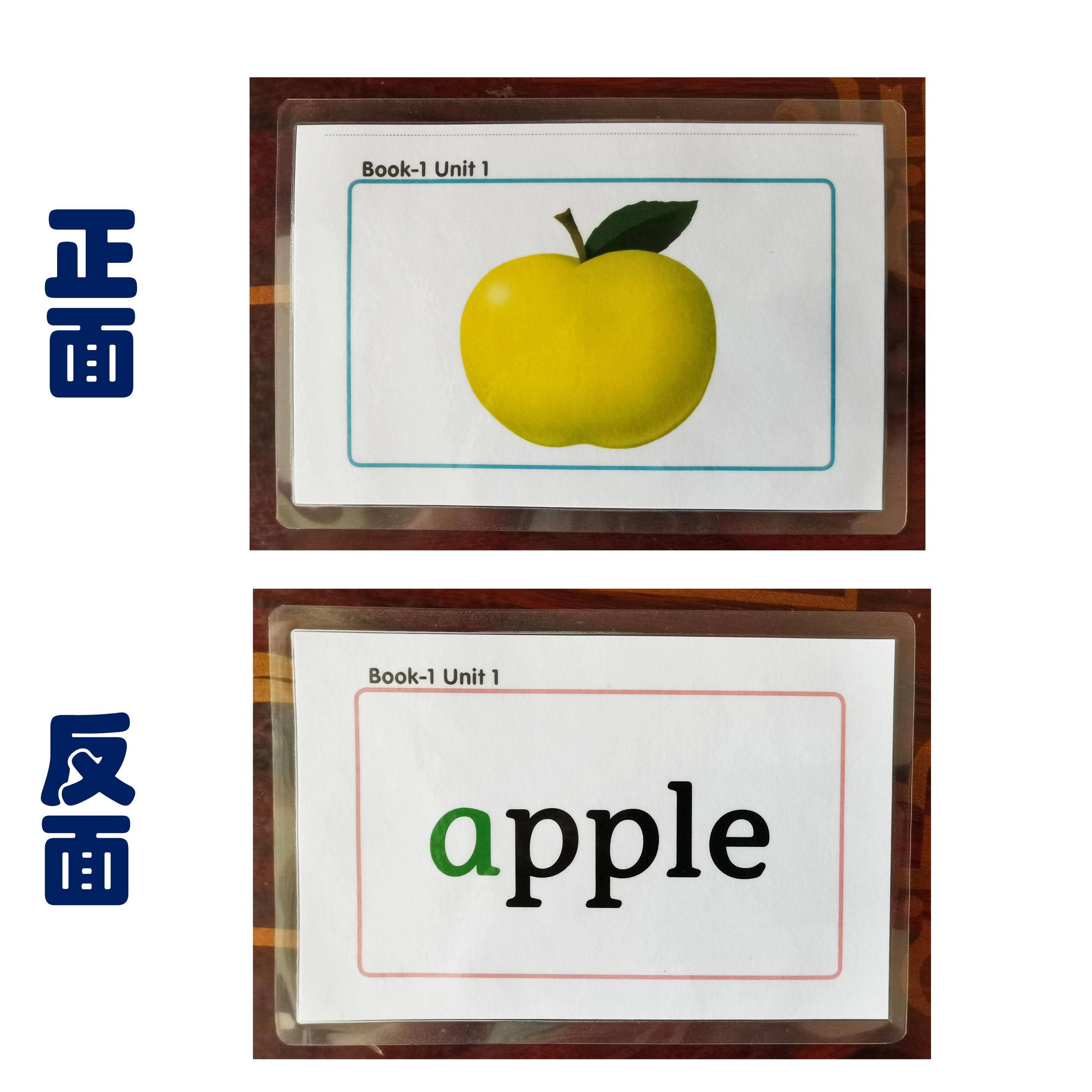 牛津双面 自然拼读少儿 英语单词大卡片过塑封教学教具,玩具/童车/益智/积木/模型,早教闪卡/潜能开发卡,淘宝优惠券,粉丝福利购,淘宝优惠卷