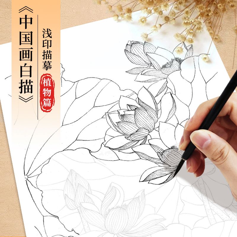 墨夫子基础入门工笔画白描底稿