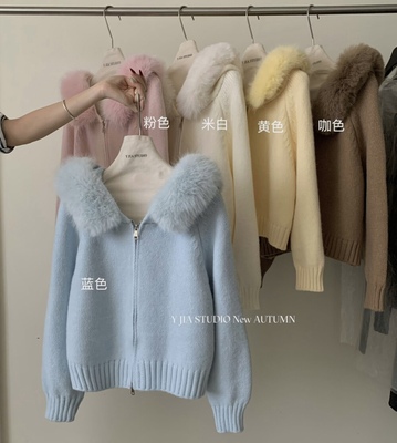 Y.JIA 伊嘉韩系松弛感仿狐狸毛拉链毛衣秋冬可拆卸大毛领针织开衫