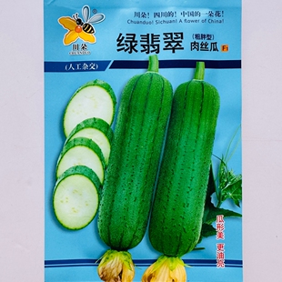绿翡翠肉丝瓜种子杂交早熟翠绿靓丽甜糯香丝瓜种籽农家春秋季播种