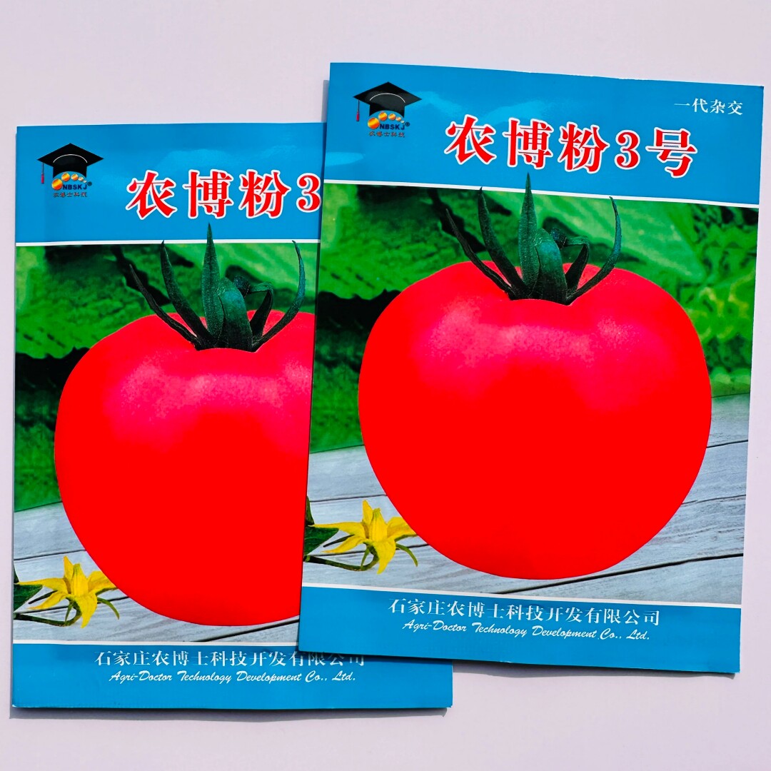农博粉3号番茄种籽老品种西红柿种子无限生长粉果番茄种子春秋播