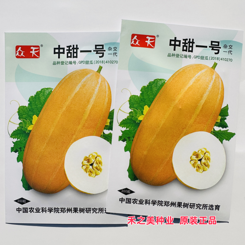 中甜一号甜瓜种子早熟黄金蜜香瓜籽高产耐低温四季播黄皮甜瓜种籽