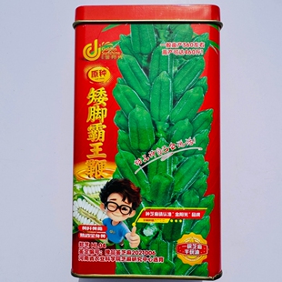 金阳光矮脚霸王鞭原种白芝麻种子高产杂交茎杆粗壮芝麻种籽春夏播