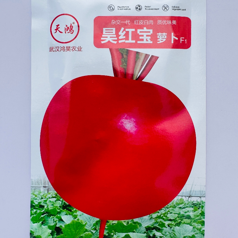 昊红宝圆萝卜种子东北大红萝卜种家庭园艺种子