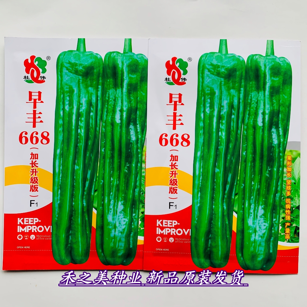 早丰668新上市薄皮泡椒种子抗病杂交中早熟耐热辣椒种籽春秋季播
