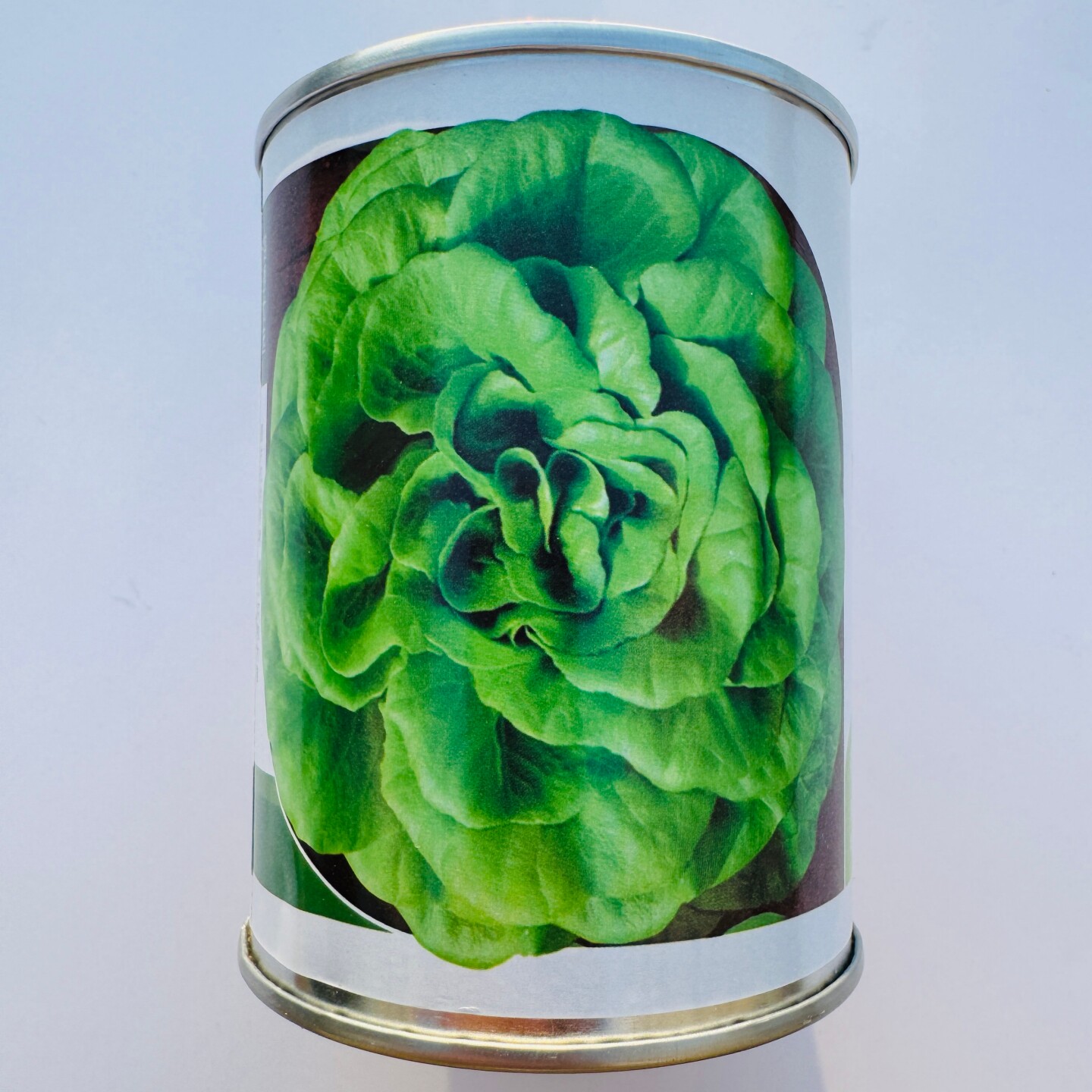 璐通蜜兰诺奶油生菜种子清甜爽口纤维少杂交生菜种籽农家春秋季播