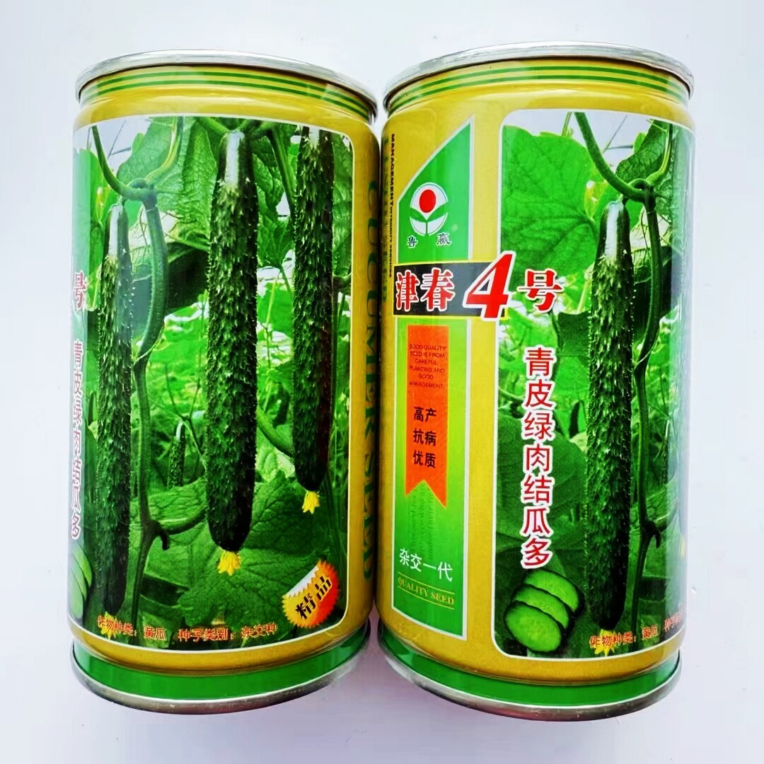 津春4号黄瓜种籽青皮绿肉结瓜多抗病高产杂交早熟黄瓜种子春秋播