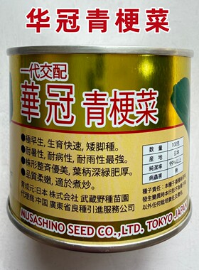 日本武藏野华冠青梗菜种子矮脚种小油菜籽四季上海青种籽蔬菜种孑