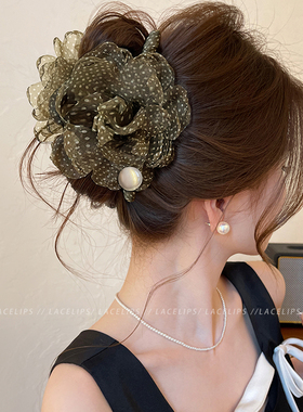 网纱波点花朵珍珠抓夹女2026新款