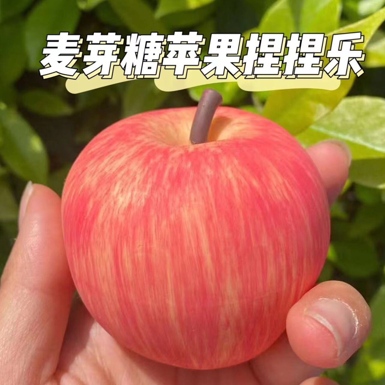 麦芽糖苹果捏捏乐解压玩具球慢回弹创意发泄仿真水果玩具减压神器