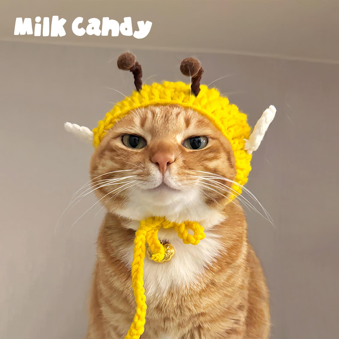 猫咪毛线帽子冬季可爱宠物头套狗狗装扮搞笑宠物针织冬帽蜜蜂头饰