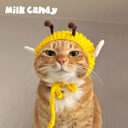 猫咪毛线帽子冬季可爱宠物头套狗狗装扮搞笑宠物针织冬帽蜜蜂头饰