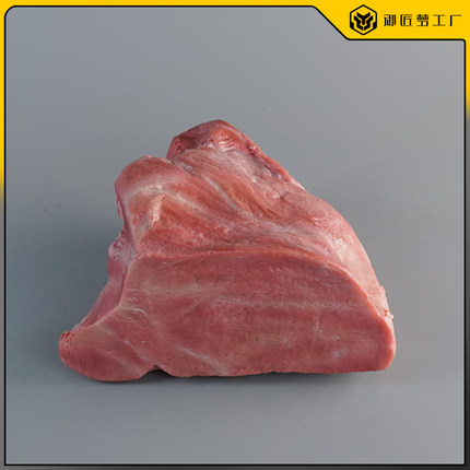 仿真肉类标本教学模型高精度仿真牛肉肉羊肉直播道具餐饮展示