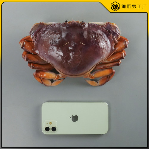 珍宝蟹仿真海鲜食品模型