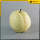 仿真梨子水果模型摆件逼真苹果造型农科院农业定制高仿真果蔬道具