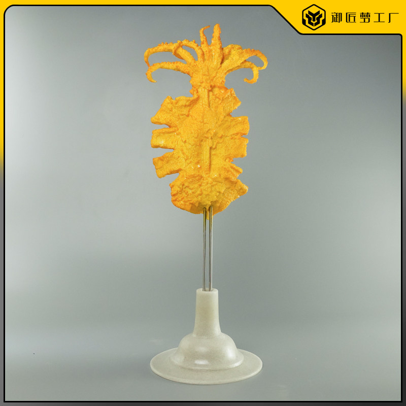 轰炸大鱿鱼带底座模型仿真食品菜品模型仿真鱿鱼模型串定做包邮