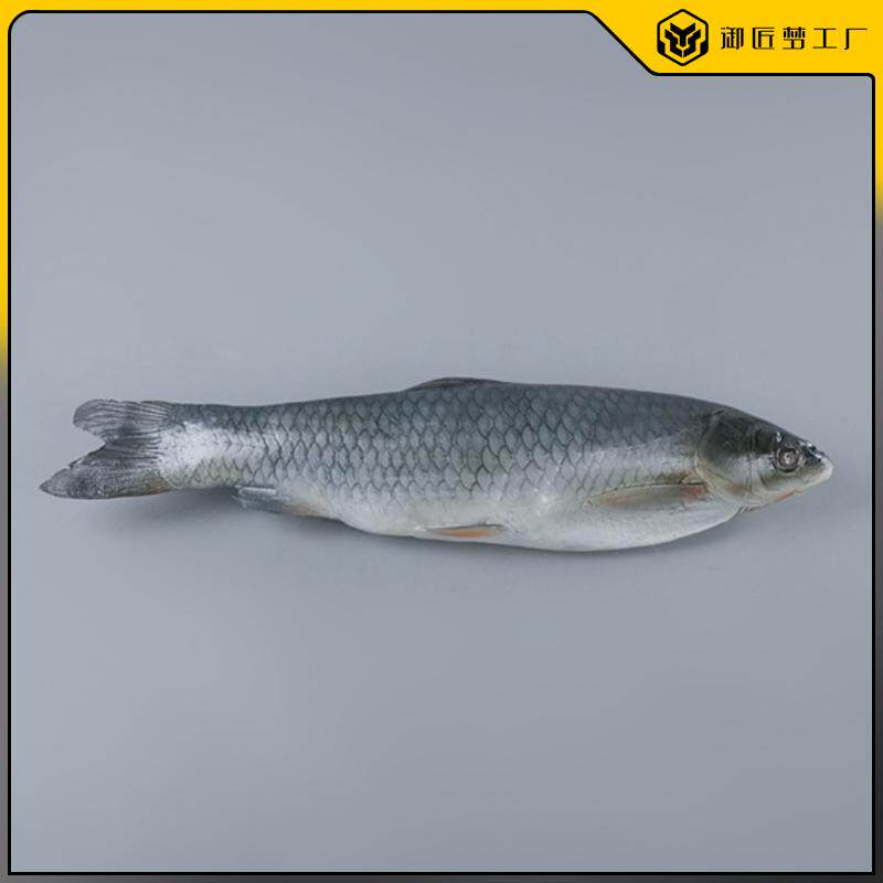 高仿真大鲤鱼模型假海鲜深海鱼淡水鱼模型海洋馆装饰道具假鱼定做