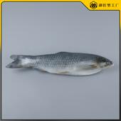 高仿真大鲤鱼模型假海鲜深海鱼淡水鱼模型海洋馆装 饰道具假鱼定做