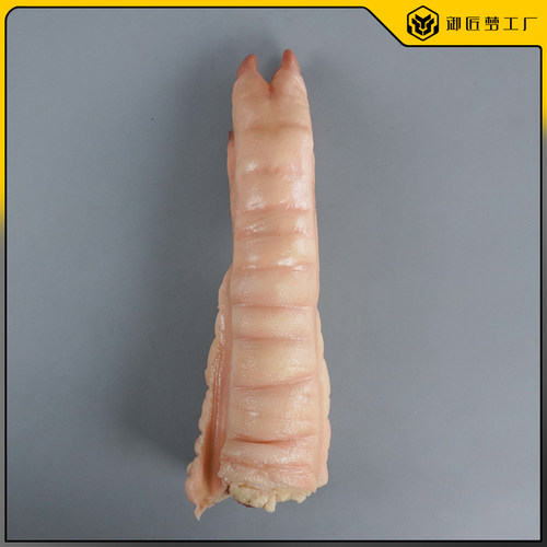 仿真白切猪蹄模型老大猪蹄雕塑