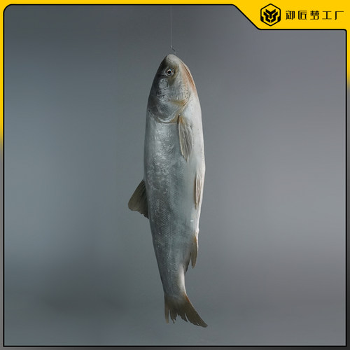 仿真白鲢鱼模型小白条鱼花鲢鱼