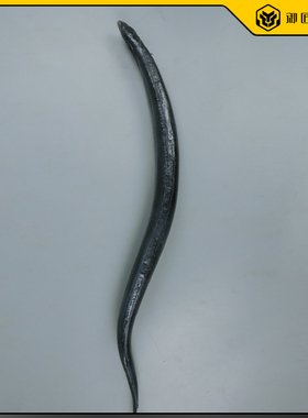 仿真假海鲜水产乌耳鳗鱼模型
