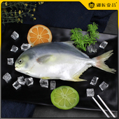 高仿真鲳鱼深海鱼模型假海鲜水产道具龙虾陈列直播道具定制假鱼类