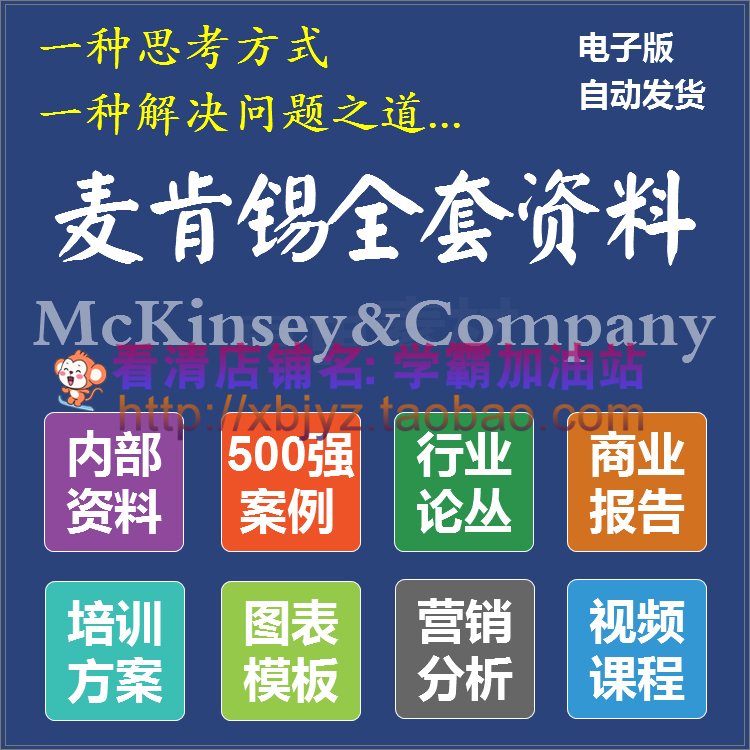 麦肯锡全套资料经营管理咨询案例行业商业营销方案企业运营模型