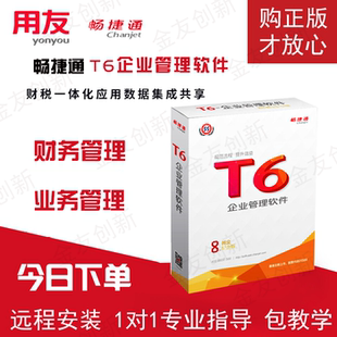 用友软件T6标准版版企业管理做帐记帐软件代理会计云帐畅捷通正版