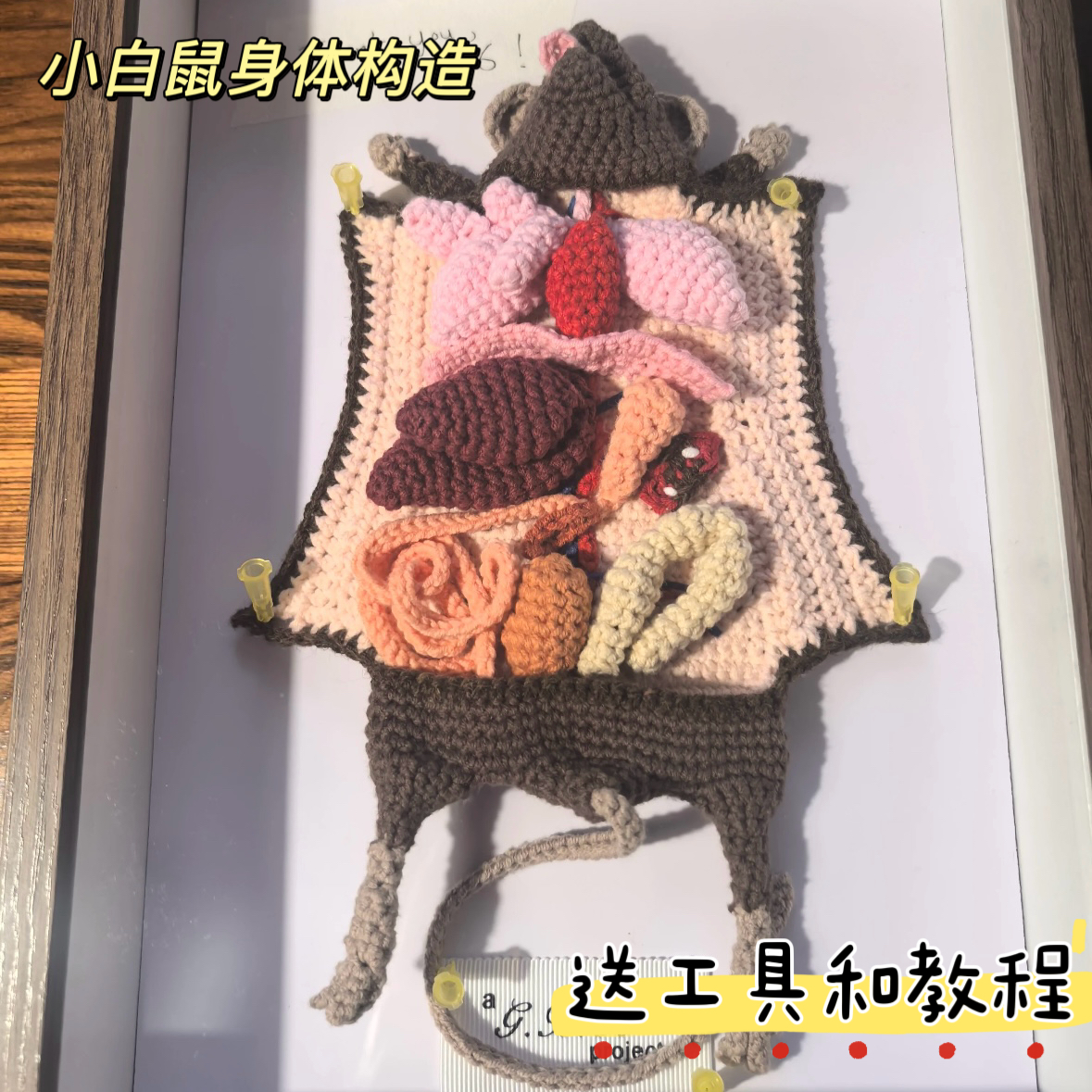 编织创意解剖小白鼠玩偶diy自制材料包毛线钩针钩织自制手工礼物