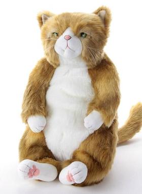 日本直送 Cuddly(卡德里) 柔美(Wasabi) 可爱猫咪毛绒玩偶 約45