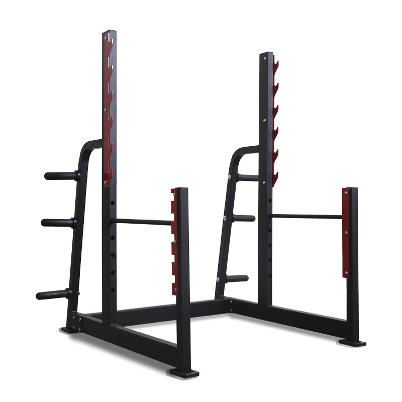 健身房常用的器械有哪几种(图1)