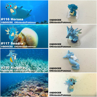 鹊城口袋妖怪-宠物小精灵福袋-宝可梦-墨海马-海刺龙-刺龙王-正版