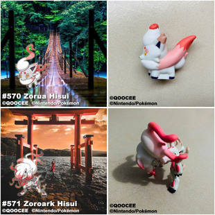 鹊城口袋妖怪-宠物小精灵福袋-索罗亚洗翠形态-索罗亚克洗翠形态