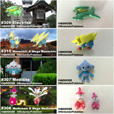 口袋妖怪雷姆宠物小精灵