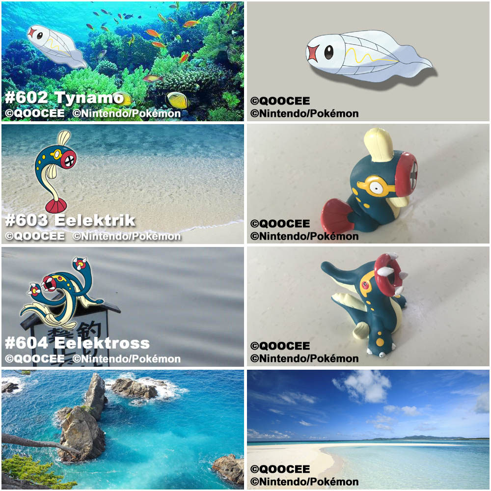 鹊城口袋妖怪-宠物小精灵福袋-麻麻小鱼-麻麻鳗-麻麻鳗鱼王