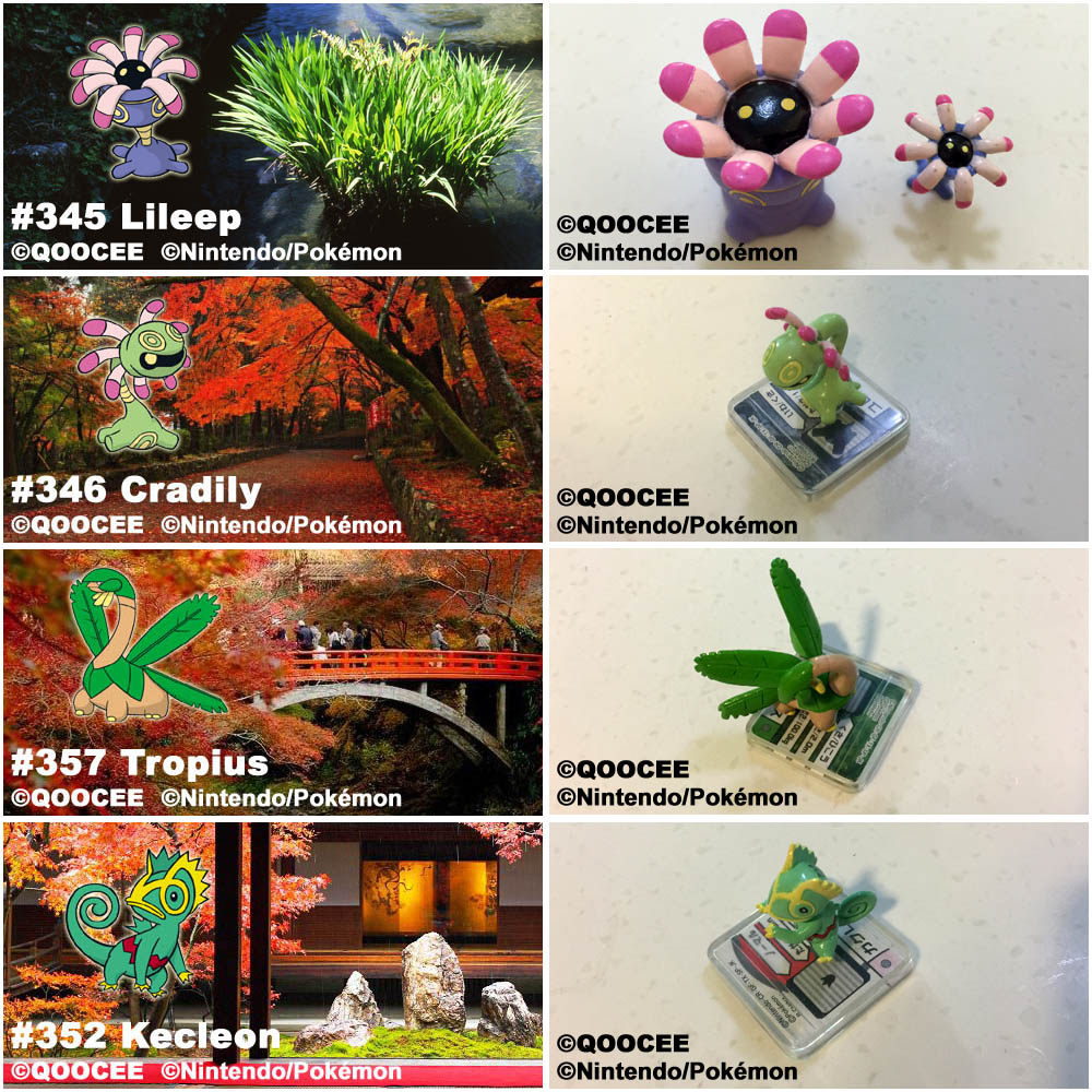 鹊城口袋妖怪-宠物小精灵福袋-变隐龙-热带龙-触手百合-摇篮百合