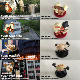 鹊城口袋妖怪-宠物小精灵福袋PLUS-卡蒂狗-风速狗-猴怪-火爆猴