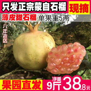 现摘云南蒙自石榴甜石榴新鲜水果应季送礼薄皮多汁12斤中大果包赔