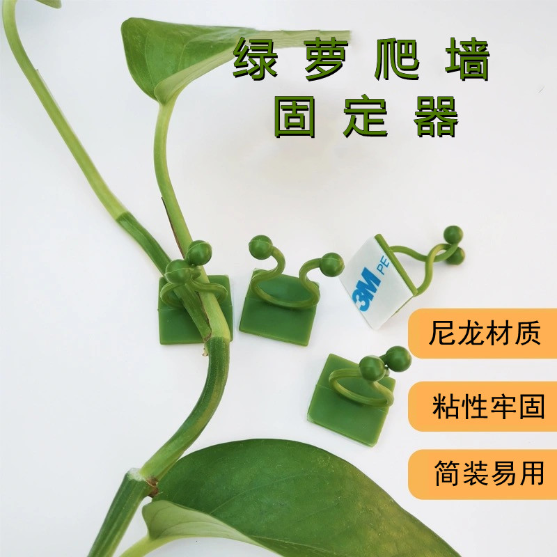 绿植无痕攀爬墙上挂钩