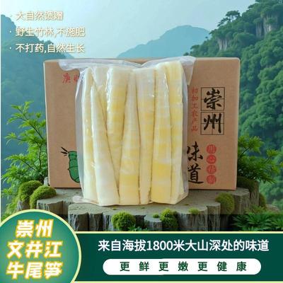 新鲜嫩笋尖四川农家特产竹笋